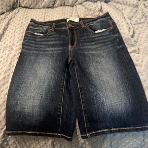BKE Bermuda Shorts Peyton size 28